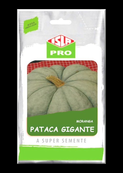 SEM MORANGA PATACA GIGANTE 100GR