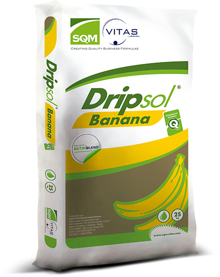 DRIPSOL BANANA 10.02.39 25KG