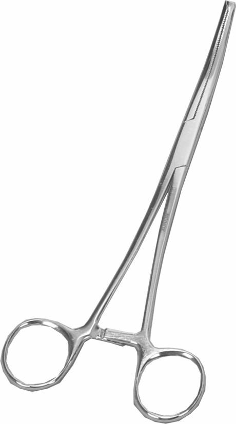 PINCA ROCHER HEMOST CURVA DENTE RATO
