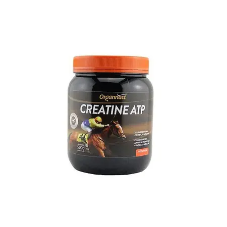 SUPLEMENTO AMINOÁCIDO COM CREATINA E ATP CREATINE ATP 500G - ORGANNACT