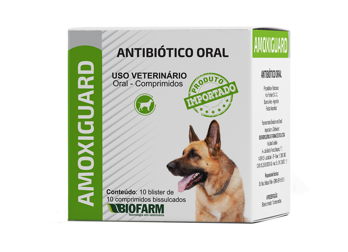 ANTIBIÓTICO ORAL AMOXIGUARD 720MG 10 BLISTER COM 10 COMPRIMIDOS BISSULCADOS - BIOFARM
