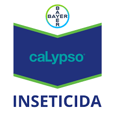 CALYPSO 1LT